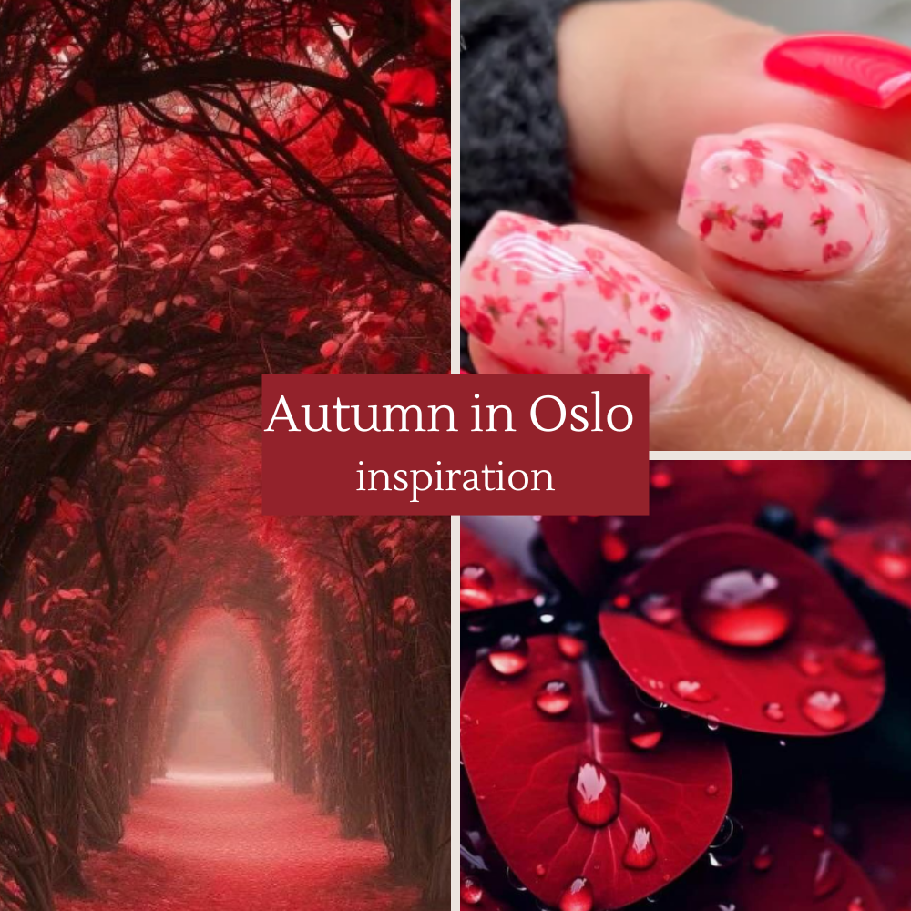 Höst i Oslo Dippulver
